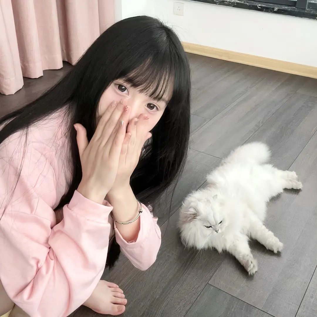 黑车玄疑